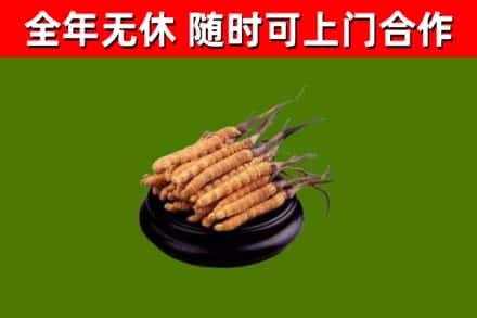 闻喜烟酒回收冬虫夏草.jpg